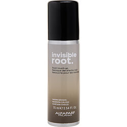 Invisible Root Touch Up Spray Warm Brown 2.5 Oz